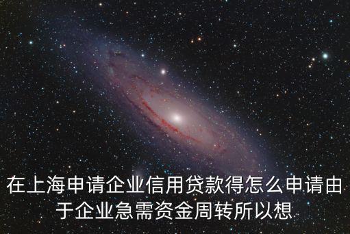在上海申請企業信用貸款得怎么申請由于企業急需資金周轉所以想