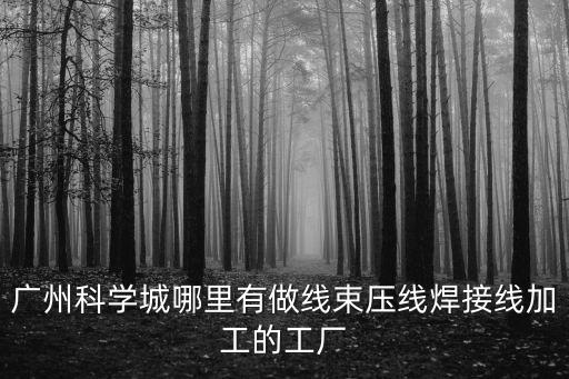 廣州科學城哪里有做線束壓線焊接線加工的工廠