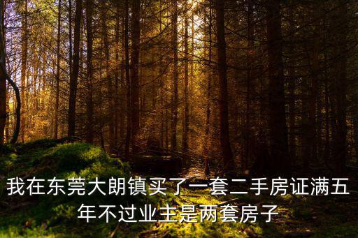 我在東莞大朗鎮(zhèn)買了一套二手房證滿五年不過(guò)業(yè)主是兩套房子