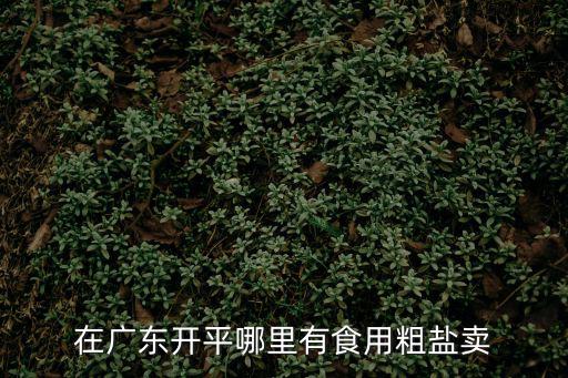 在廣東開平哪里有食用粗鹽賣
