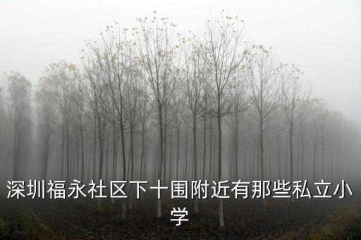 深圳福永社區(qū)下十圍附近有那些私立小學(xué)