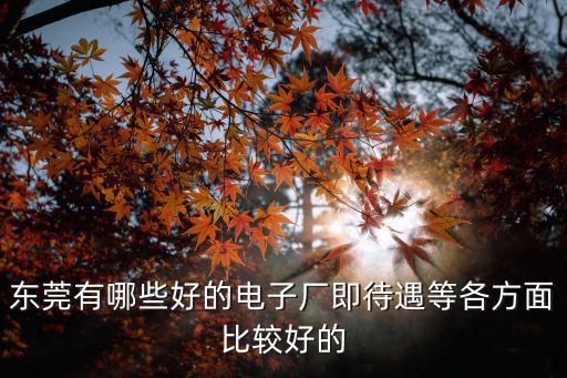 東莞有哪些好的電子廠即待遇等各方面比較好的
