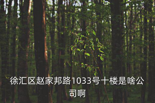 上海市浦程房地產公司，上海南京西路580號南證大廈3701室是哪家公司