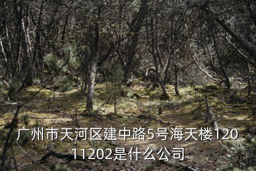 廣州市天河區建中路5號海天樓12011202是什么公司