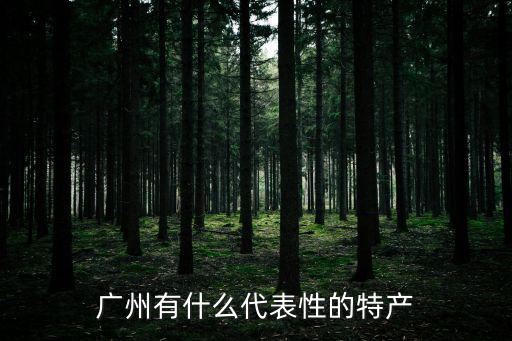 廣州有什么代表性的特產