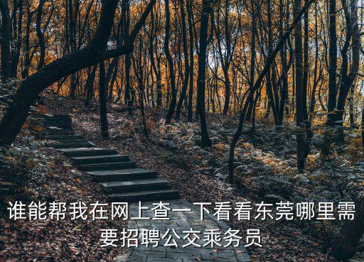 誰能幫我在網上查一下看看東莞哪里需要招聘公交乘務員