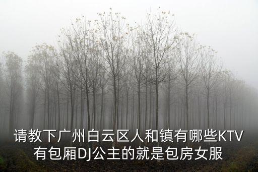 請教下廣州白云區人和鎮有哪些KTV有包廂DJ公主的就是包房女服