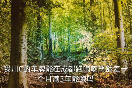 我川C的車牌能在成都跑嘀嘀駕齡差一個月滿3年能跑嗎