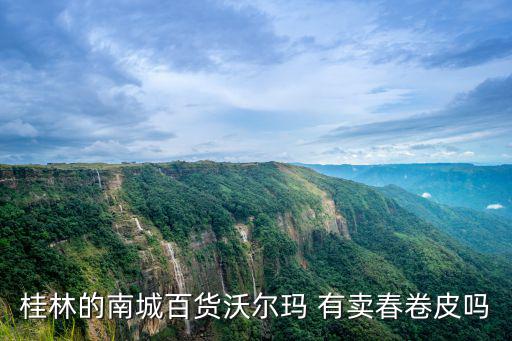 桂林的南城百貨沃爾瑪 有賣春卷皮嗎