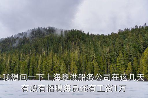 我想問一下上海鑫洪船務(wù)公司在這幾天有沒有招聘海員還有工資1萬