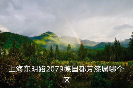 上海東明路2079德國都芳漆屬哪個區