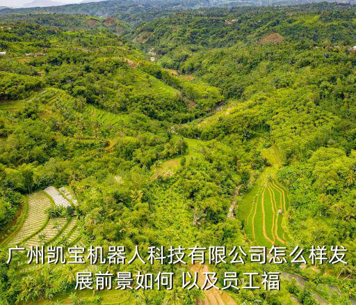 廣州凱寶機器人科技有限公司怎么樣發展前景如何 以及員工福