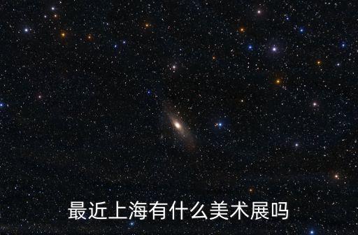 上海市美術展獲獎作品，最近上海有什么美術展嗎