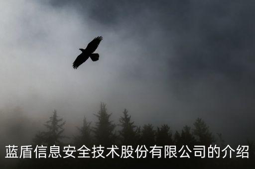 藍(lán)盾信息安全技術(shù)股份有限公司的介紹
