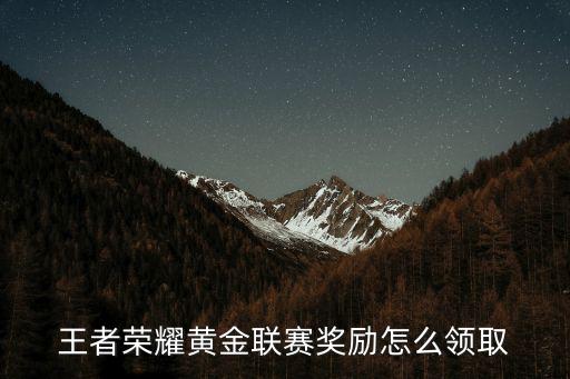 sol君 黃金聯賽廣州，王者榮耀黃金聯賽如何雙人匹配