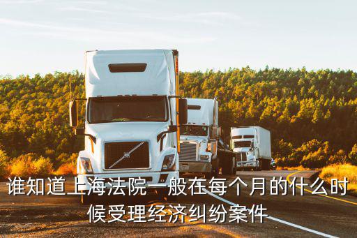 誰知道上海法院一般在每個月的什么時候受理經濟糾紛案件