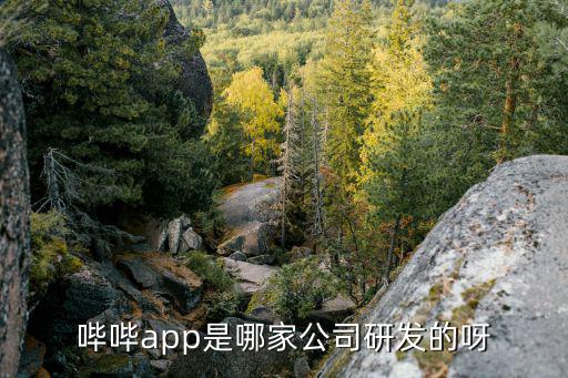 嗶嗶app是哪家公司研發的呀
