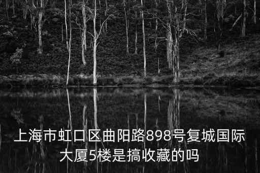 上海市虹口區(qū)曲陽路898號(hào)復(fù)城國際大廈5樓是搞收藏的嗎