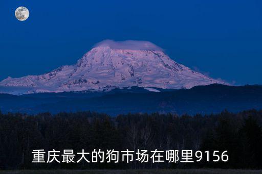 重慶最大的狗市場(chǎng)在哪里9156