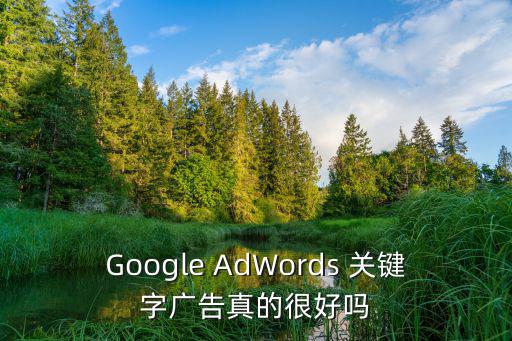 Google AdWords 關鍵字廣告真的很好嗎