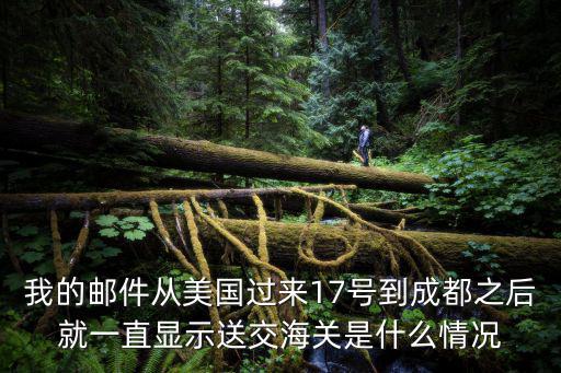 我的郵件從美國過來17號到成都之后就一直顯示送交海關是什么情況
