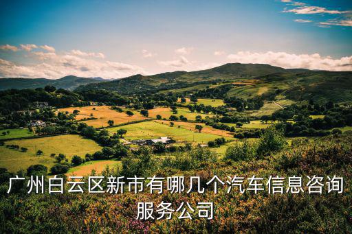 廣州白云區新市有哪幾個汽車信息咨詢服務公司