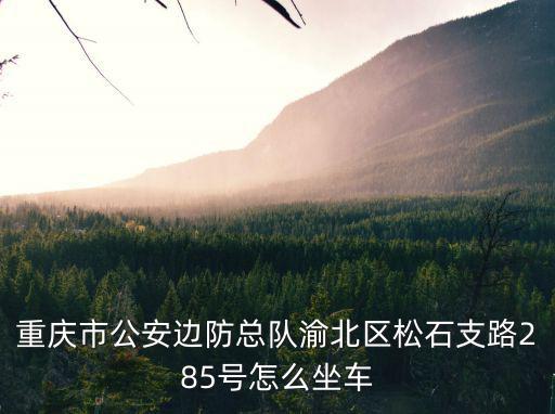重慶市公安邊防總隊渝北區松石支路285號怎么坐車