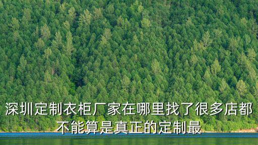 深圳定制衣柜廠家在哪里找了很多店都不能算是真正的定制最