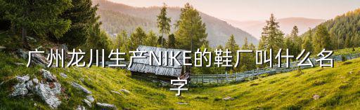 廣州龍川生產(chǎn)NIKE的鞋廠叫什么名字