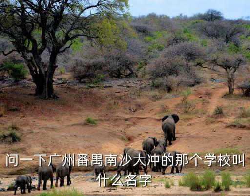 問(wèn)一下廣州番禺南沙大沖的那個(gè)學(xué)校叫什么名字