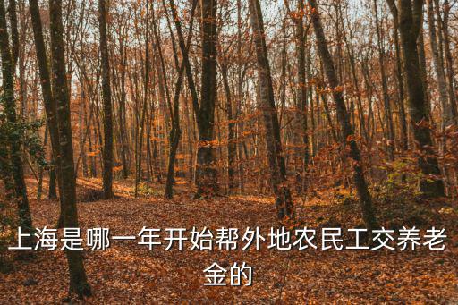 上海是哪一年開始幫外地農民工交養老金的