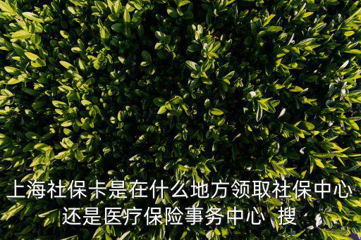上海社保卡是在什么地方領取社保中心還是醫療保險事務中心  搜