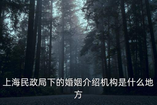 上海市婚姻介紹行業(yè)協(xié)會(huì)，上海婚慶行業(yè)協(xié)會(huì)大家覺(jué)的選擇哪家比較好呢