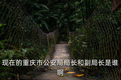 現(xiàn)在的重慶市公安局局長和副局長是誰啊