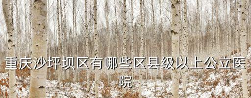 重慶市縣級以上醫院名單，重慶沙坪壩區有哪些區縣級以上公立醫院