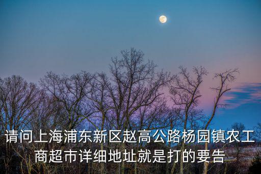 請(qǐng)問(wèn)上海浦東新區(qū)趙高公路楊園鎮(zhèn)農(nóng)工商超市詳細(xì)地址就是打的要告