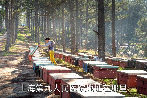 上海第九人民醫院地址在那里