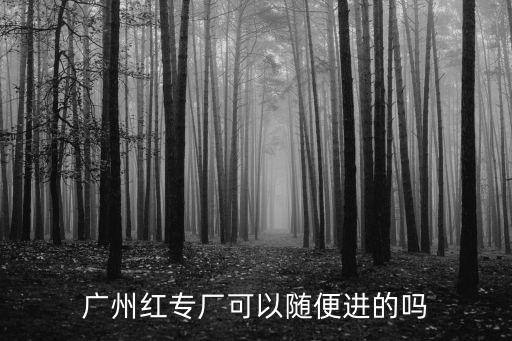廣州紅專廠可以隨便進的嗎