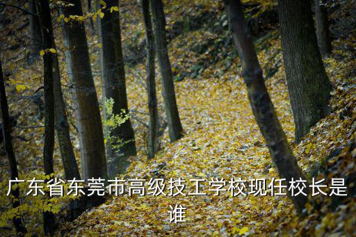 廣東省東莞市高級技工學(xué)校現(xiàn)任校長是誰