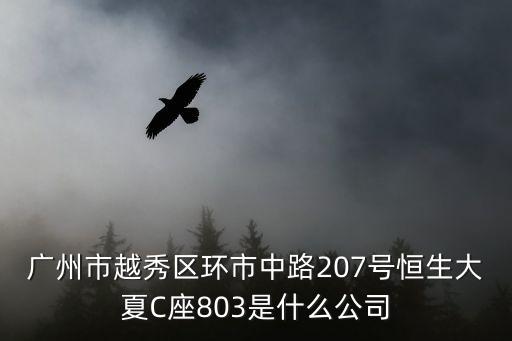 廣州藍斯投資有限公司，廣州市越秀區環市中路207號恒生大夏C座付樓是什么公司