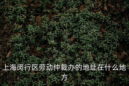 上海閔行區(qū)勞動(dòng)仲裁辦的地址在什么地方