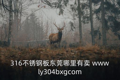 316不銹鋼板東莞哪里有賣 wwwly304bxgcom