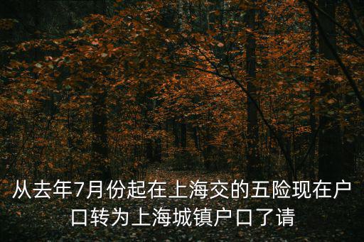 從去年7月份起在上海交的五險現(xiàn)在戶口轉(zhuǎn)為上海城鎮(zhèn)戶口了請