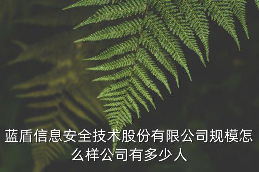 藍(lán)盾信息安全技術(shù)股份有限公司規(guī)模怎么樣公司有多少人