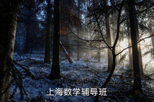 上海數(shù)學(xué)輔導(dǎo)班