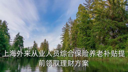 上海外來從業人員綜合保險養老補貼提前領取理財方案