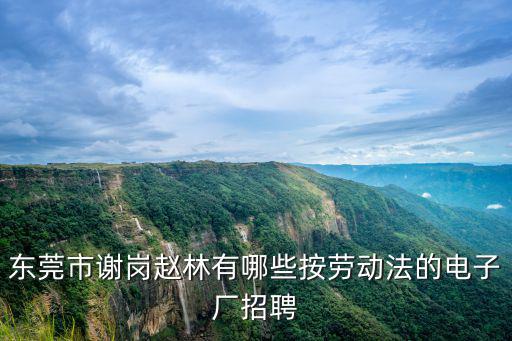 東莞市謝崗趙林有哪些按勞動(dòng)法的電子廠招聘