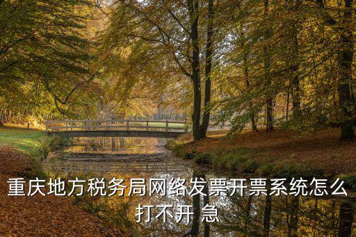 重慶市地方稅務局開票入口，重慶地稅網絡發票開具