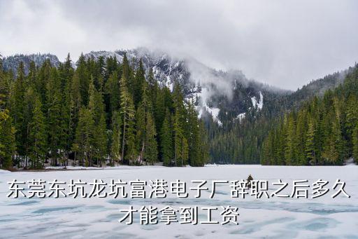 東莞東坑龍坑富港電子廠辭職之后多久才能拿到工資