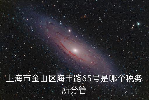 上海市金山區海豐路65號是哪個稅務所分管
